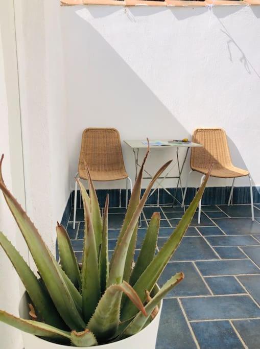 Apartment Bianca T2 - Terrasse - Parking - Calme - 1mn De La *