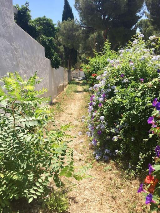 Bianca T2 - Terrasse - Parking - Calme - 1mn De La Cassis