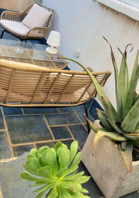 Apartment Bianca T2 - Terrasse - Parking - Calme - 1mn De La Cassis
